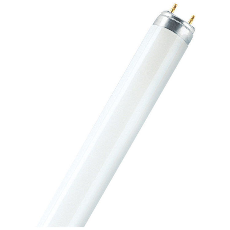 Alles OSRAM fluo cijev 18W/830 LUMILUX T8