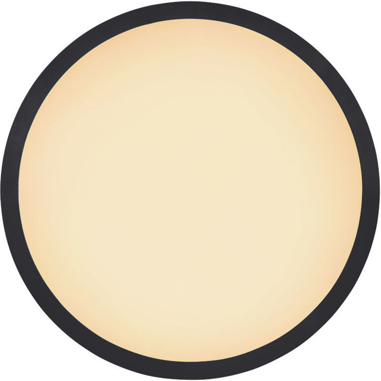 Alles GLOBO plafonjera SAPANA 41562-18B
