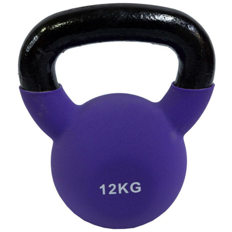 Alles FITMOTIV uteg s ručkom 12 Kg