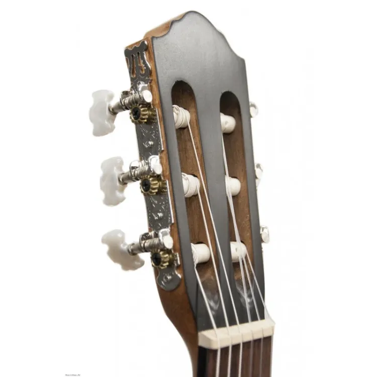 Alles FLIGHT gitara klasična C-100 NA