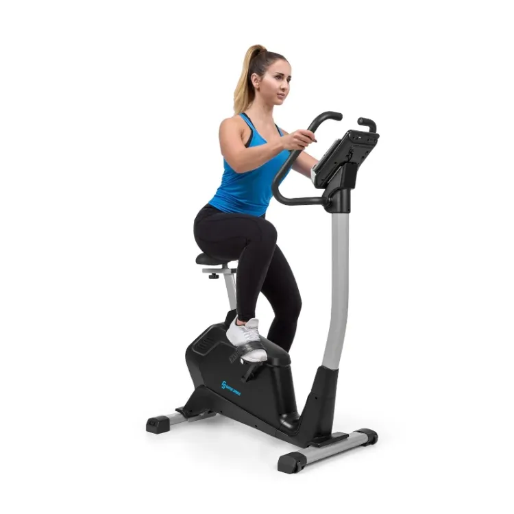 Alles CAPITAL SPORT sobni bicikl EVO COMFORT