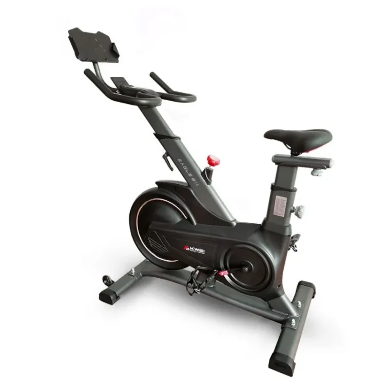 Alles XPLORER sobni bicikl EAGLE811