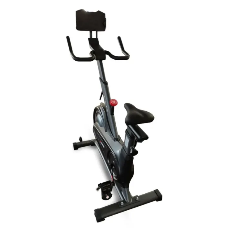 Alles XPLORER sobni bicikl EAGLE811