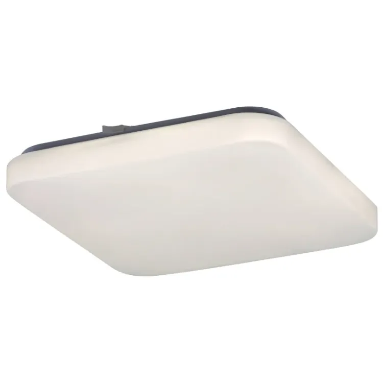 Alles RABALUX LED plafonjera ROB 20W 4000K 2286