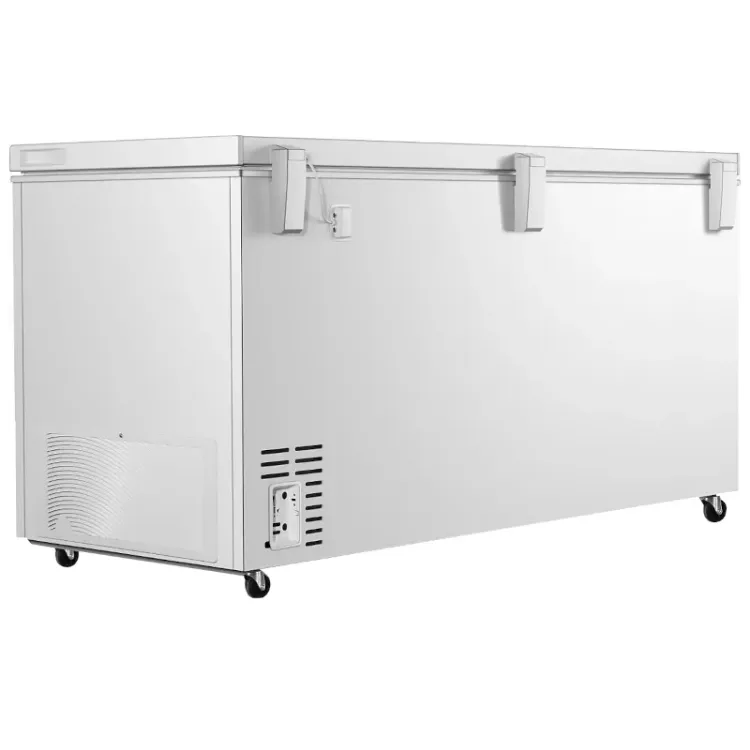 Alles GORENJE zamrzivač FH50EAW