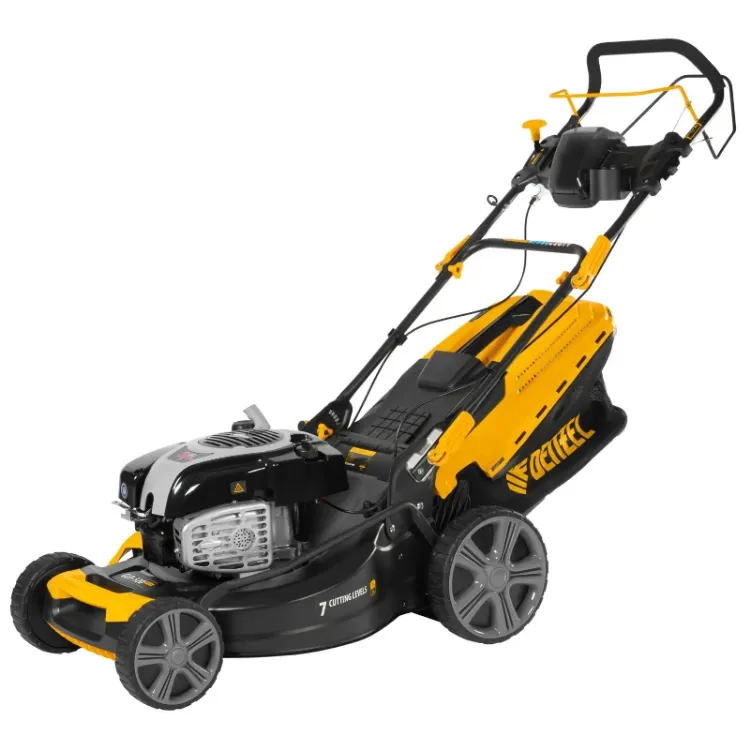 Alles DENZEL motorna kosilica GLD-520 SP B&S