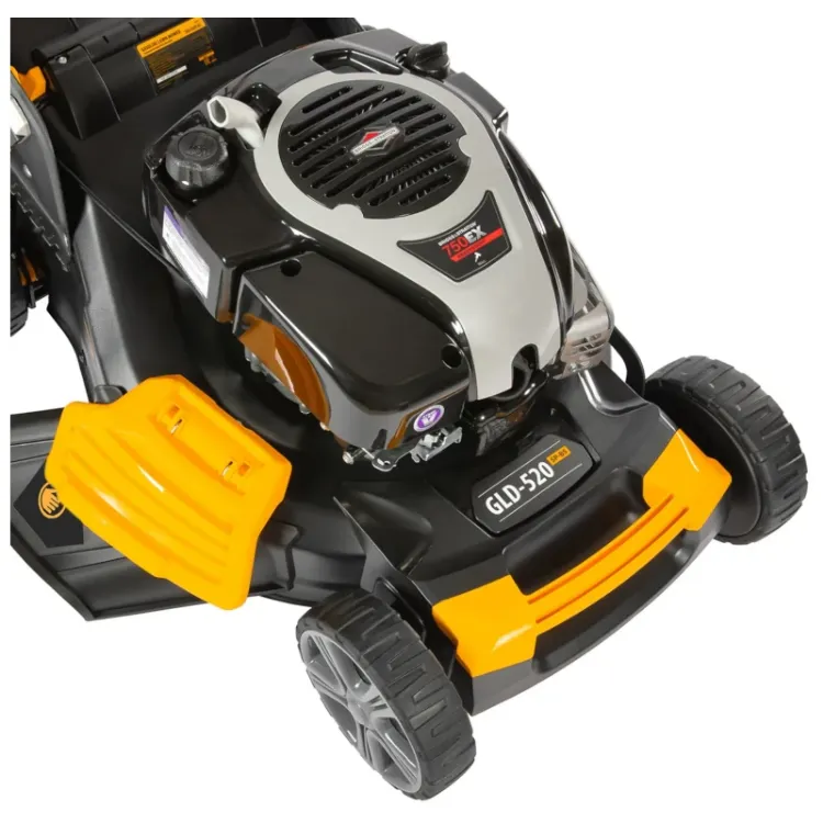Alles DENZEL motorna kosilica GLD-520 SP B&S