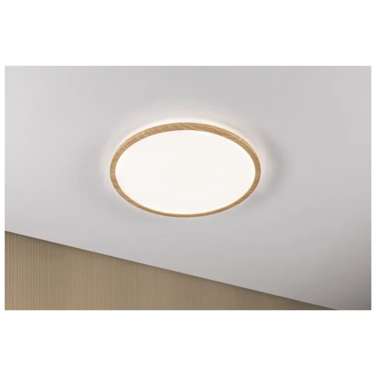 Alles PAULMANN LED plafonjera ATRIA SHINE 71034 22W 4000K