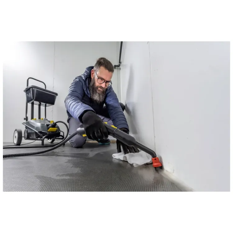 Alles KARCHER parni čistač SG 4/4