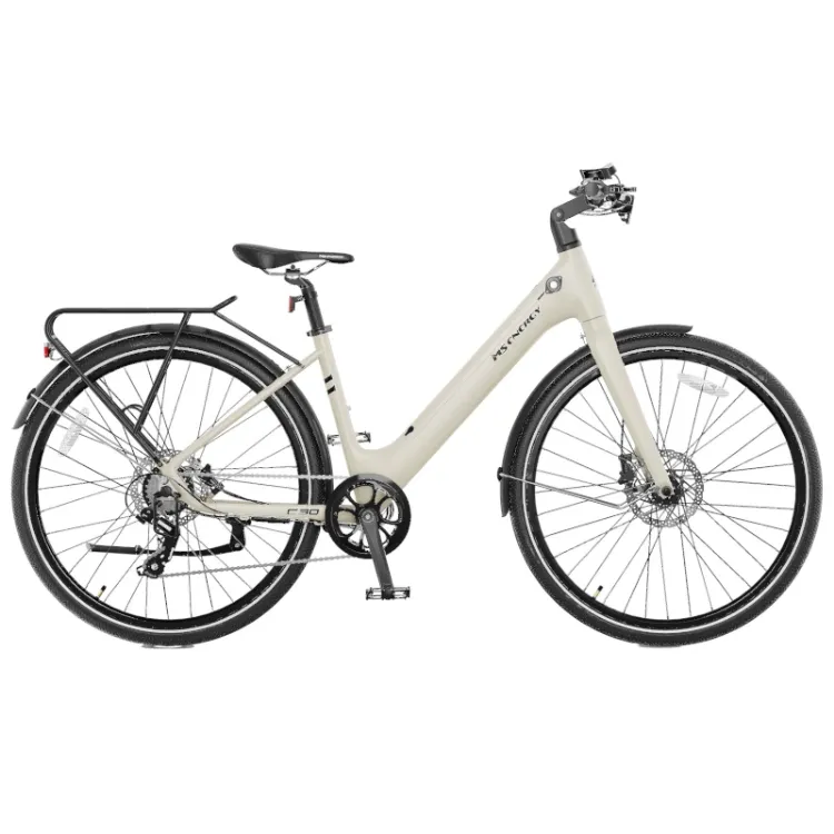 Alles MS ENERGY bicikl električni C30