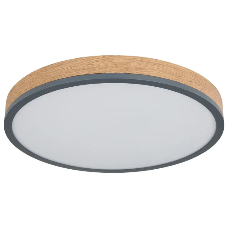 Alles GLOBO LED stropna svjetiljka DORO 416080WD2R-CCT