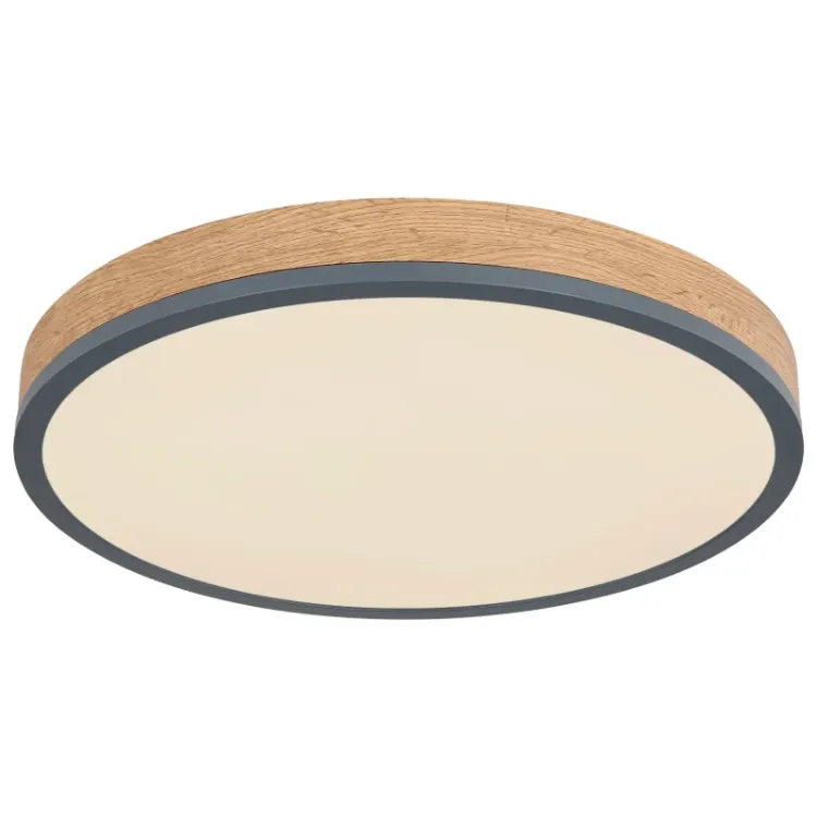 Alles GLOBO LED stropna svjetiljka DORO 416080WD2R-CCT