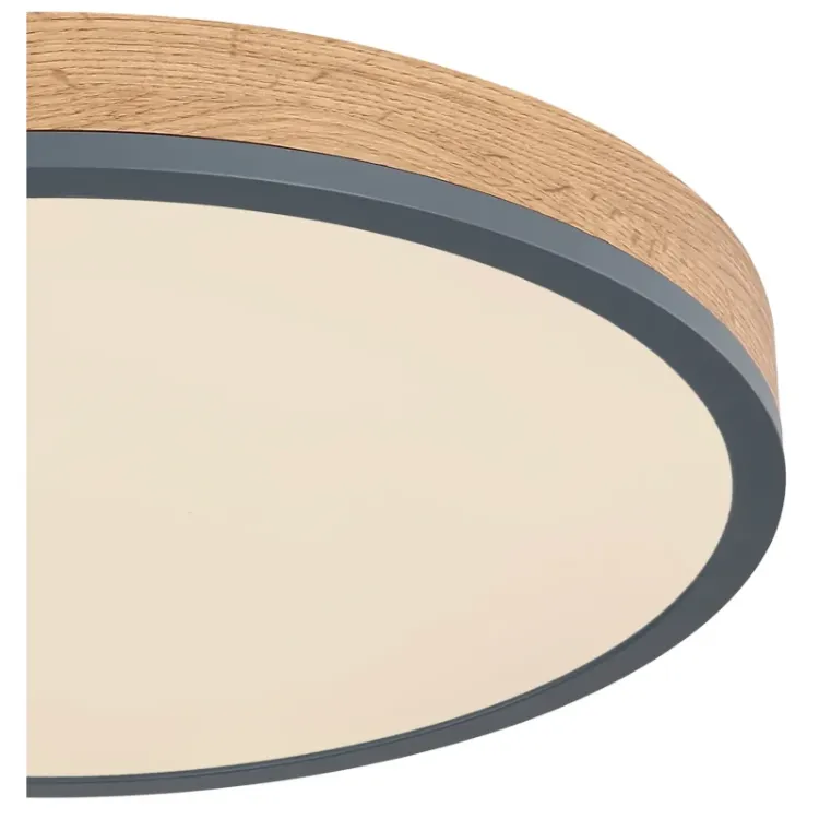 Alles GLOBO LED stropna svjetiljka DORO 416080WD2R-CCT