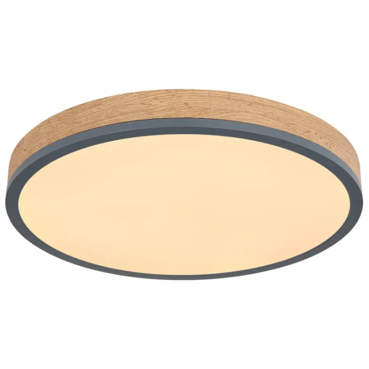 Alles GLOBO LED stropna svjetiljka DORO 416080WD2R-CCT