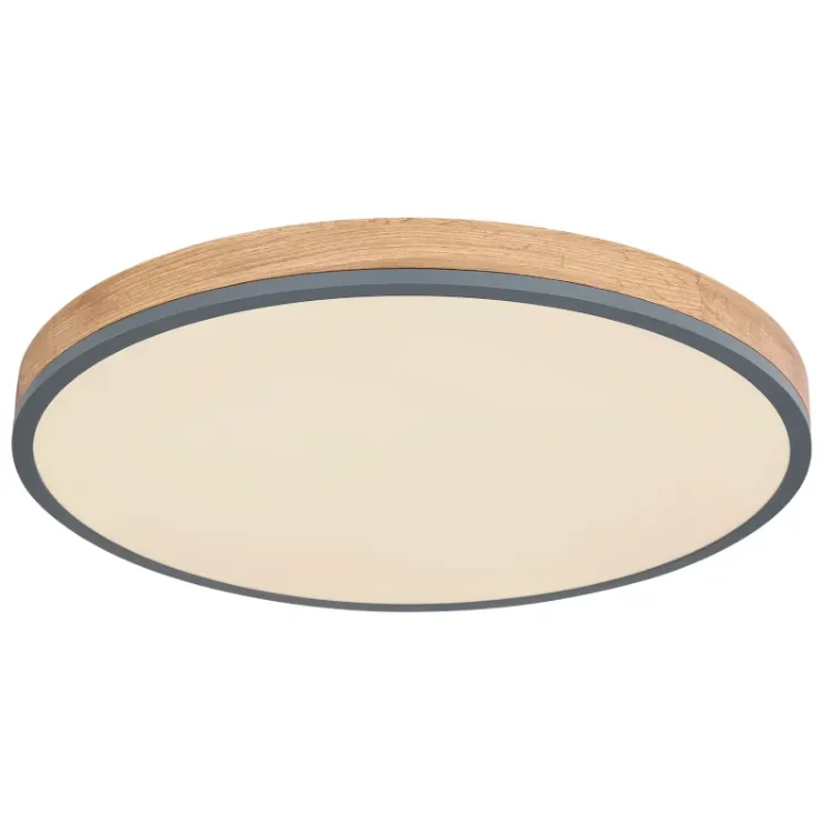 Alles GLOBO LED stropna svjetiljka DORO 416080WD4R-CCT