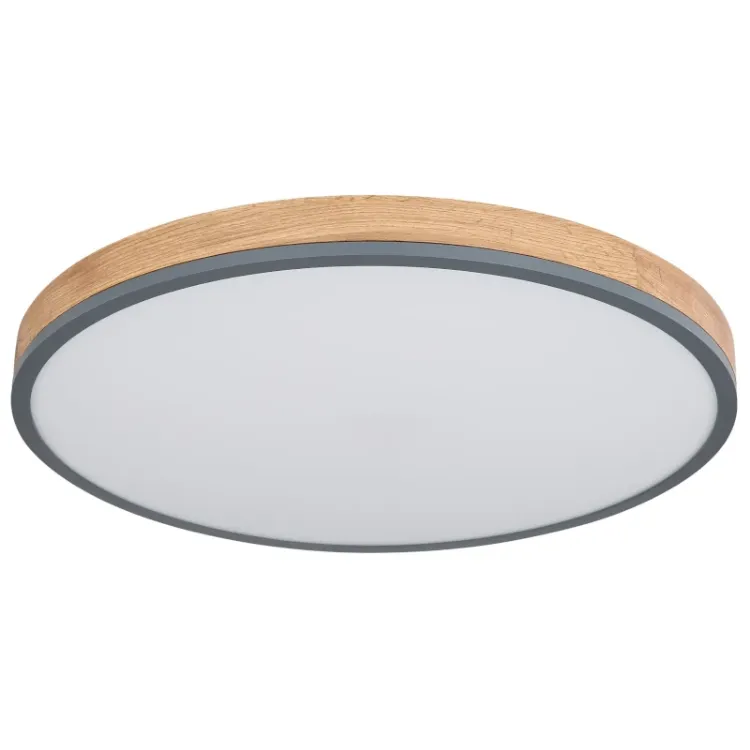 Alles GLOBO LED stropna svjetiljka DORO 416080WD4R-CCT