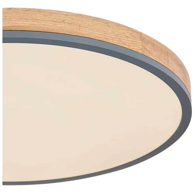 Alles GLOBO LED stropna svjetiljka DORO 416080WD4R-CCT