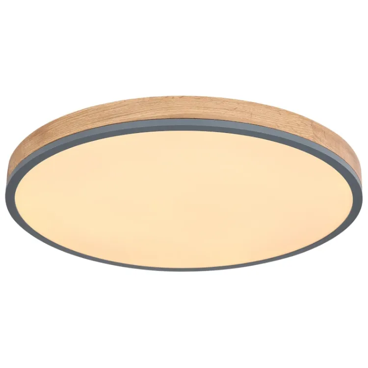 Alles GLOBO LED stropna svjetiljka DORO 416080WD4R-CCT