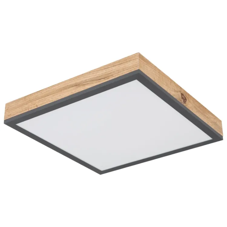 Alles GLOBO LED stropna svjetiljka DORO 416080WD1