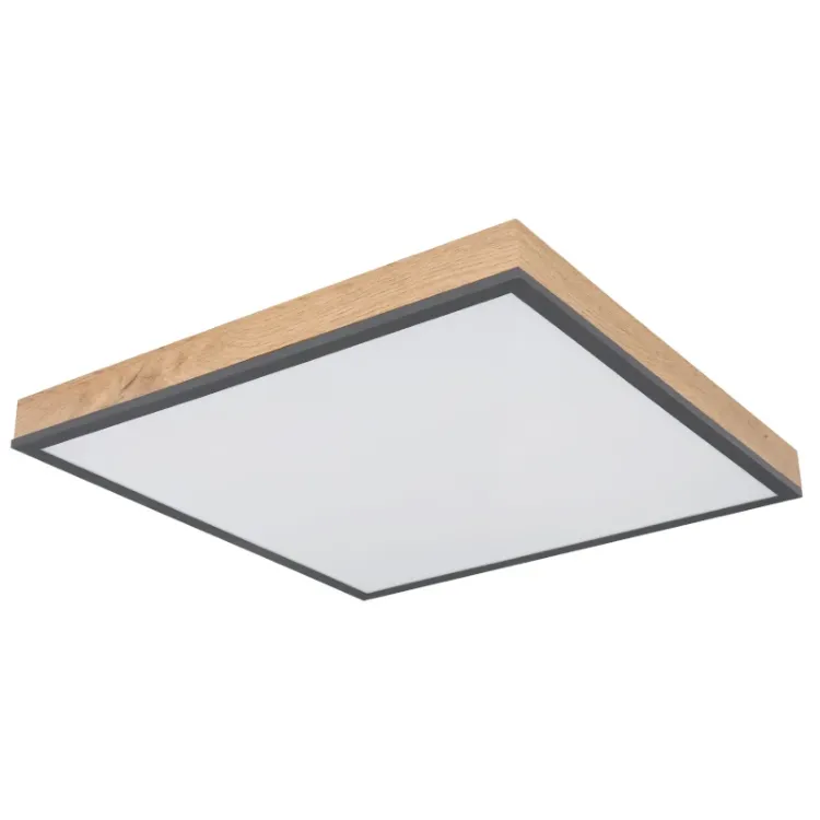 Alles GLOBO LED stropna svjetiljka DORO 416080WD2