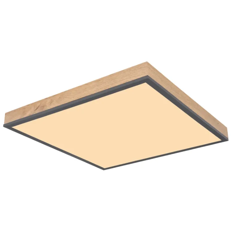 Alles GLOBO LED stropna svjetiljka DORO 416080WD2