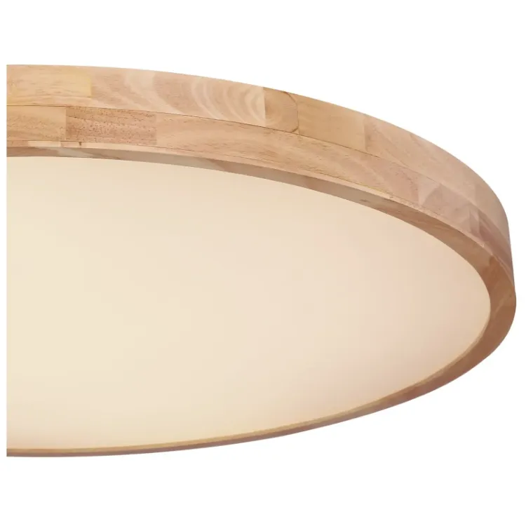 Alles GLOBO LED stropna svjetiljka RAINER 41745-60
