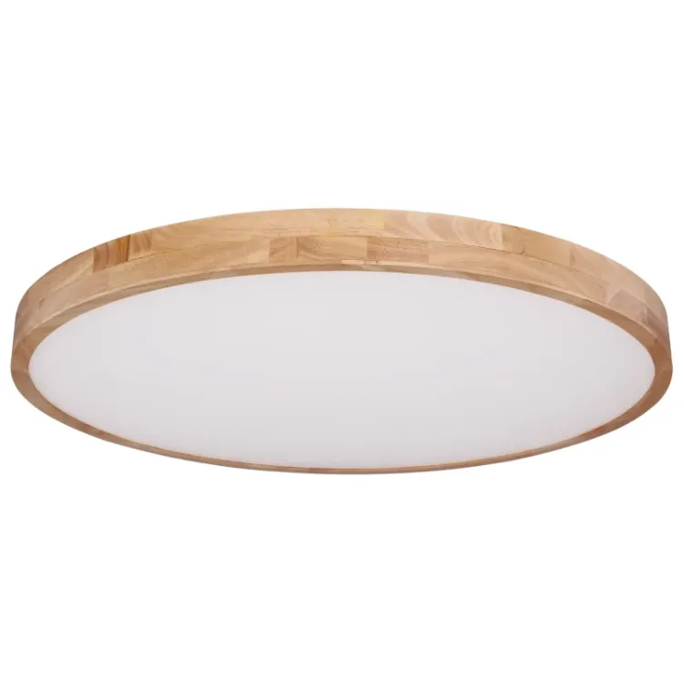 Alles GLOBO LED stropna svjetiljka RAINER 41745-60