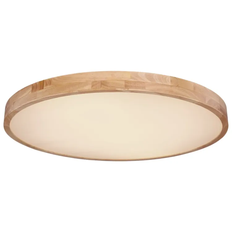 Alles GLOBO LED stropna svjetiljka RAINER 41745-60