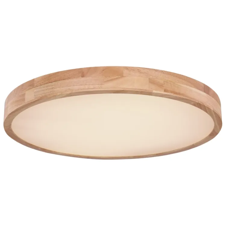 Alles GLOBO LED stropna svjetiljka RAINER 41745-48