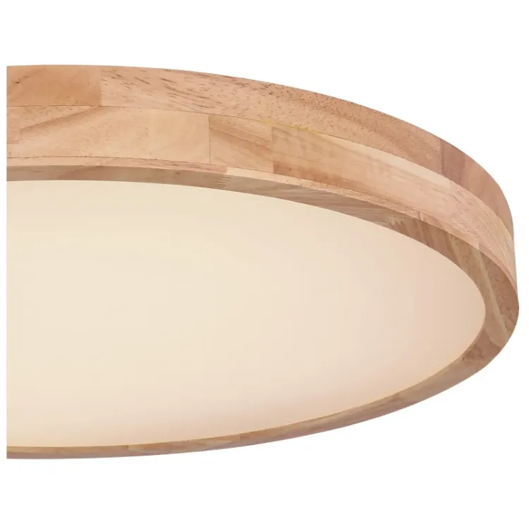 Alles GLOBO LED stropna svjetiljka RAINER 41745-48