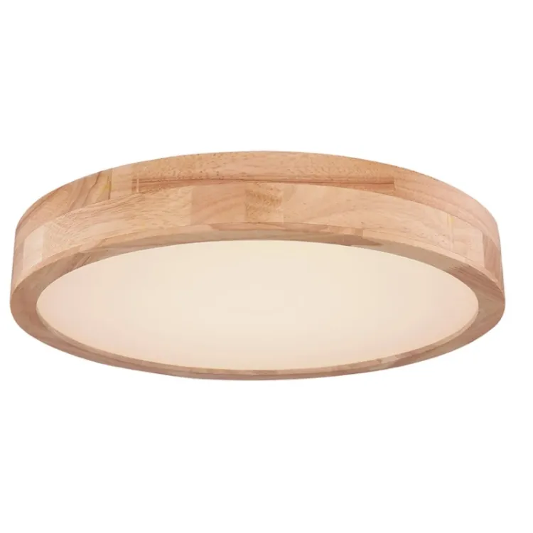 Alles GLOBO LED stropna svjetiljka RAINER 41745-24