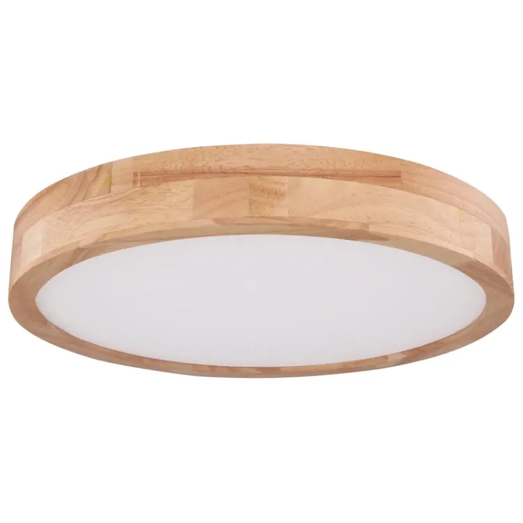 Alles GLOBO LED stropna svjetiljka RAINER 41745-24