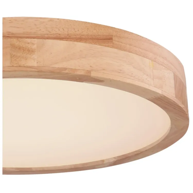 Alles GLOBO LED stropna svjetiljka RAINER 41745-24