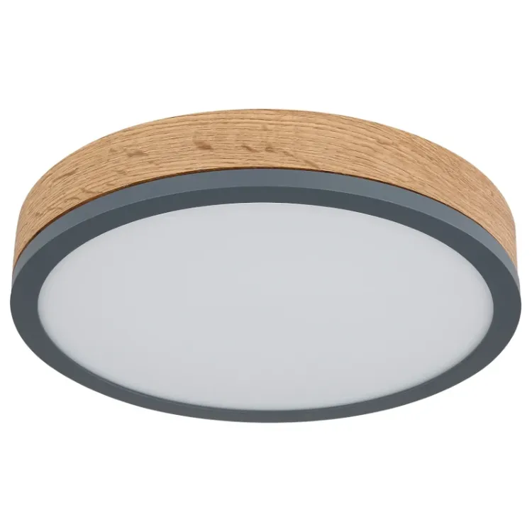 Alles GLOBO LED stropna svjetiljka DORO 416080WD1R