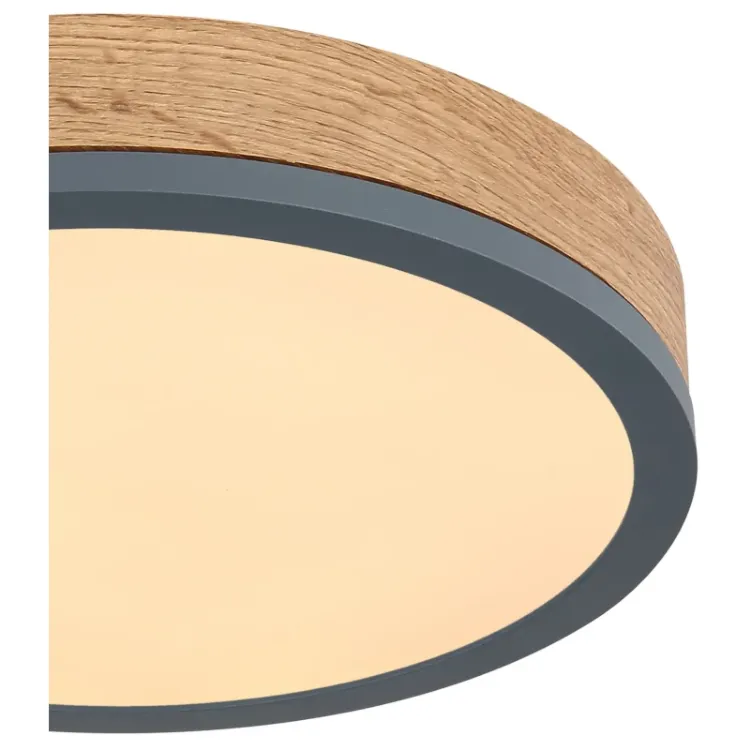 Alles GLOBO LED stropna svjetiljka DORO 416080WD1R