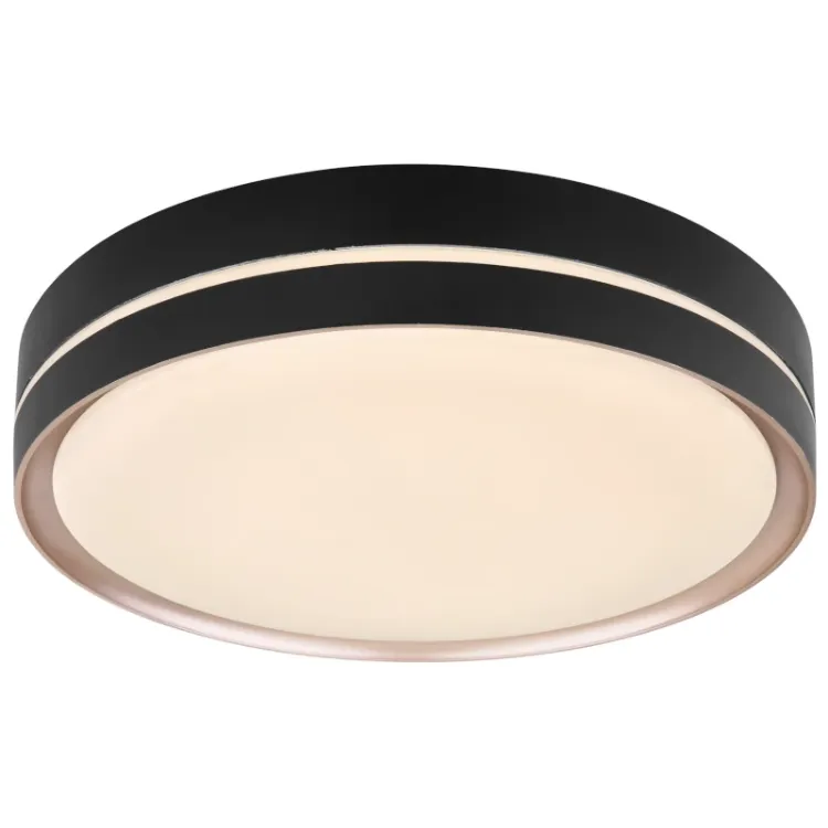 Alles GLOBO LED stropna svjetiljka MANNI 41759-24