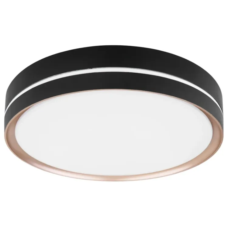 Alles GLOBO LED stropna svjetiljka MANNI 41759-24