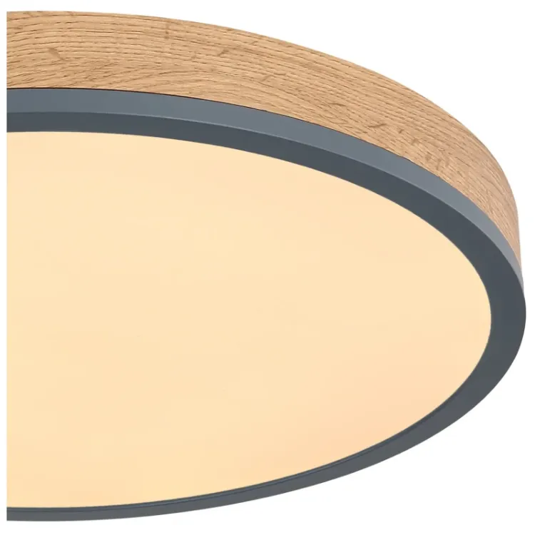 Alles GLOBO LED stropna svjetiljka DORO 416080WD2R