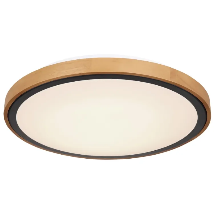 Alles GLOBO LED stropna svjetiljka BRUNO 41764-24