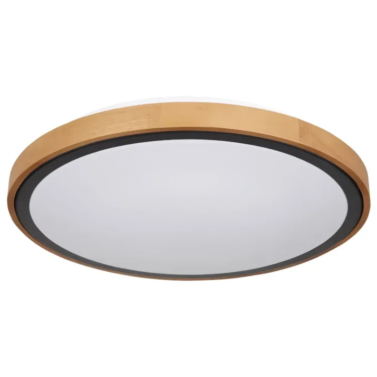 Alles GLOBO LED stropna svjetiljka BRUNO 41764-24