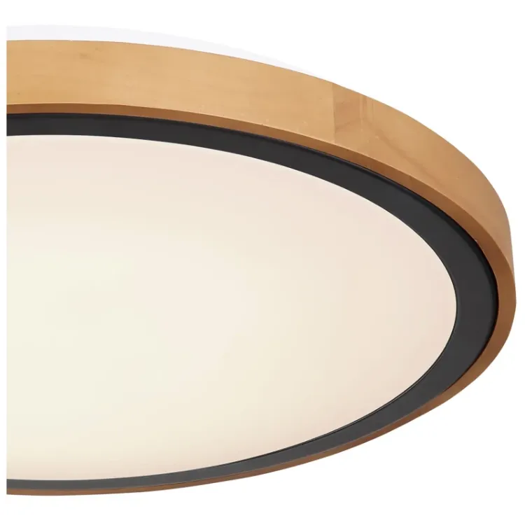 Alles GLOBO LED stropna svjetiljka BRUNO 41764-24
