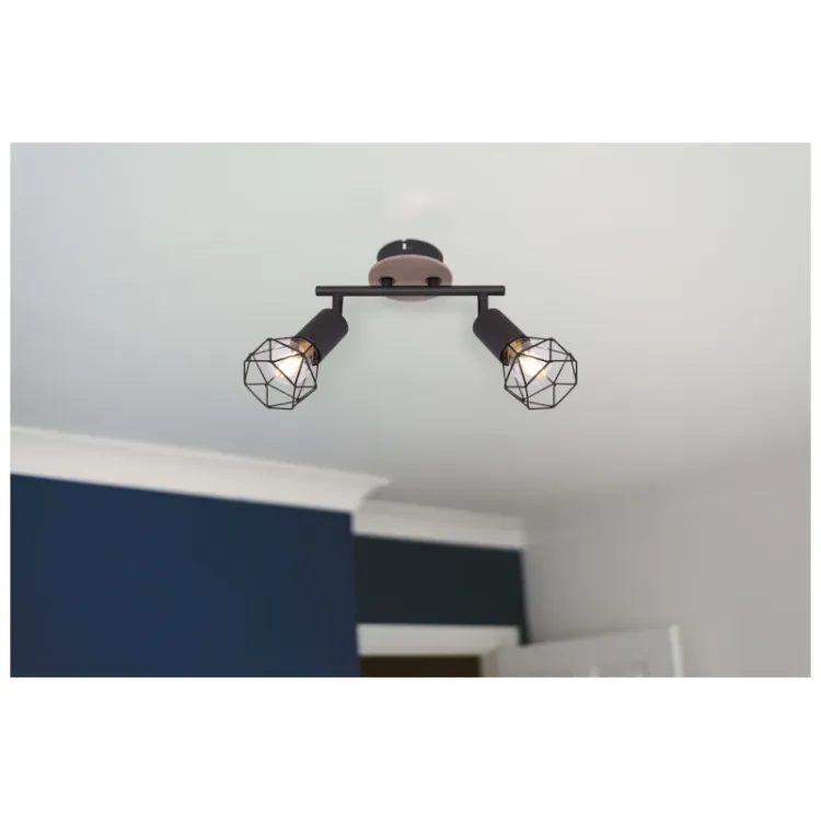 Alles GLOBO stropna svjetiljka XARA I 54802S-2H