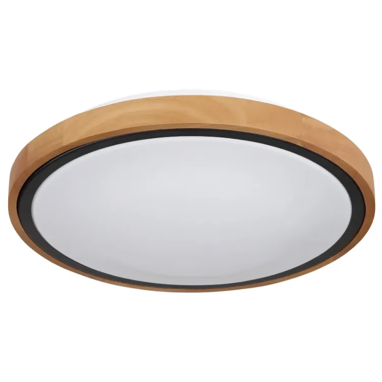 Alles GLOBO LED stropna svjetiljka BRUNO 41764-12