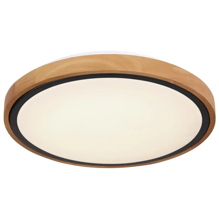 Alles GLOBO LED stropna svjetiljka BRUNO 41764-12