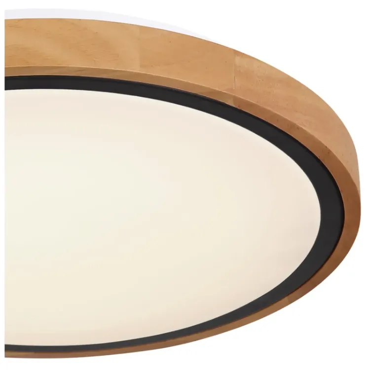 Alles GLOBO LED stropna svjetiljka BRUNO 41764-12