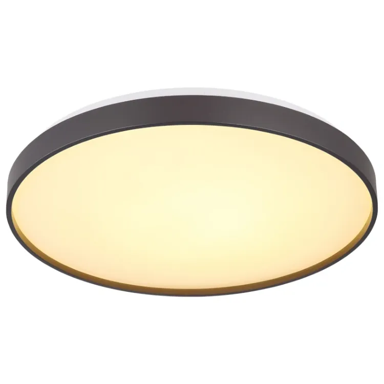 Alles GLOBO LED stropna svjetiljka ECLYPSE 41262-24