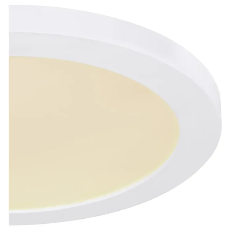 Alles GLOBO LED stropna svjetiljka LASSE 12379-24W 