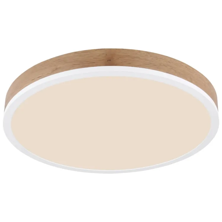 Alles GLOBO LED stropna svjetiljka DORO 416080WWD2R