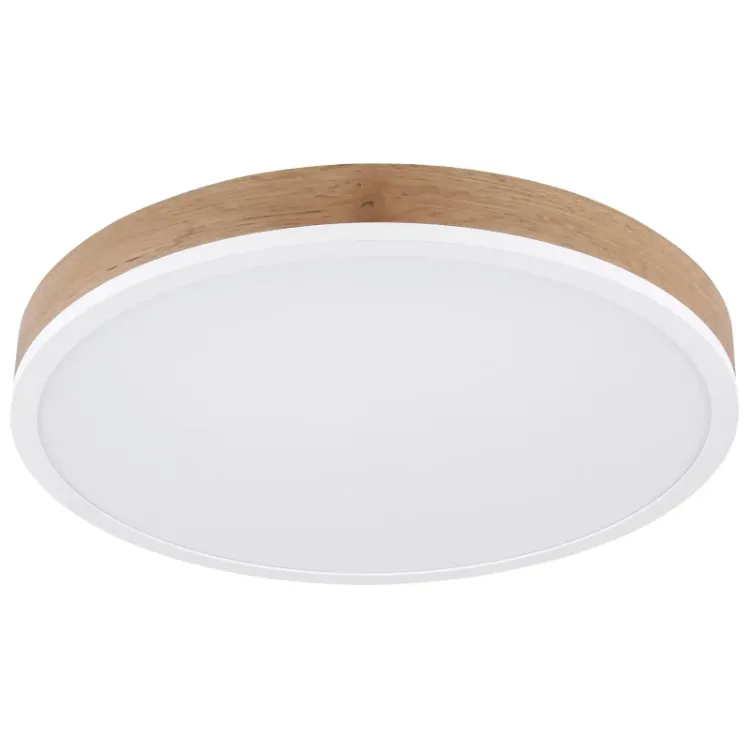 Alles GLOBO LED stropna svjetiljka DORO 416080WWD2R