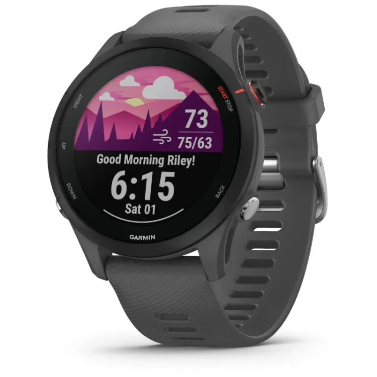 Alles GARMIN pametni sat FORERUNNER 255 46mm Slate Grey